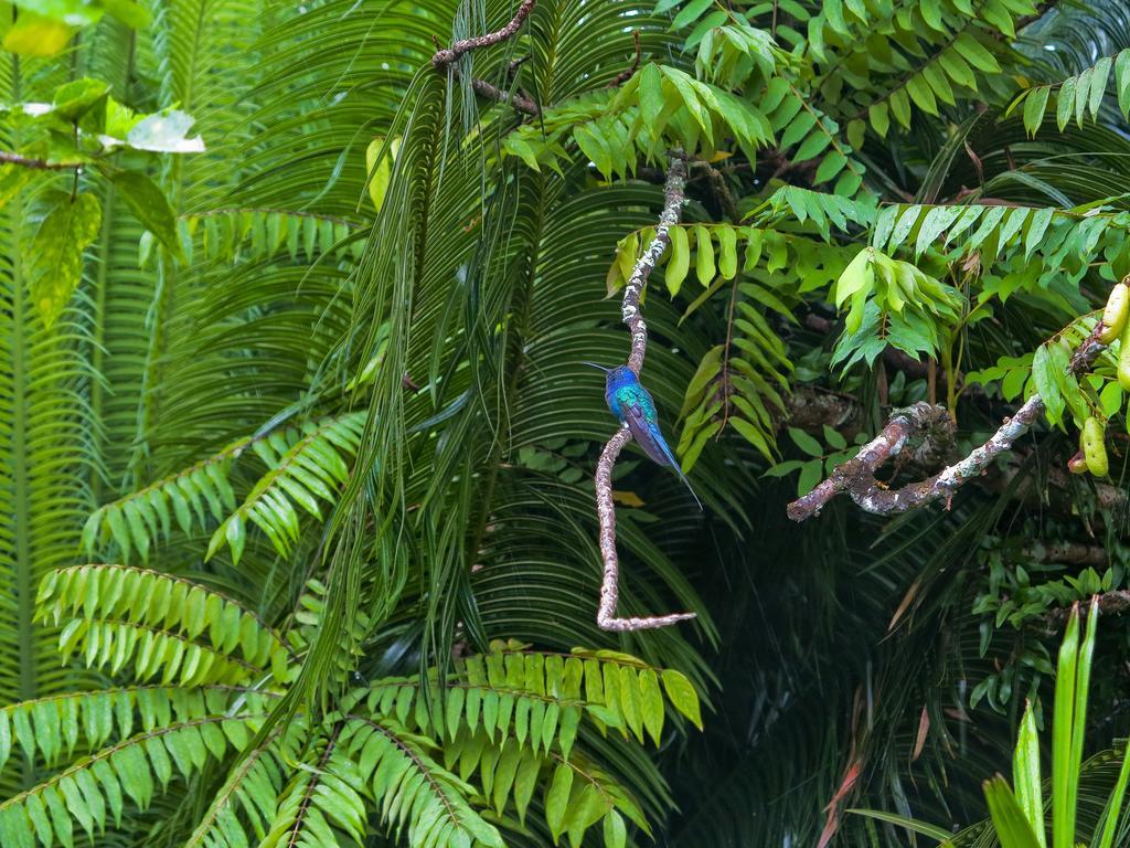 Pousada Almaviva Velha Boipeba Exterior foto