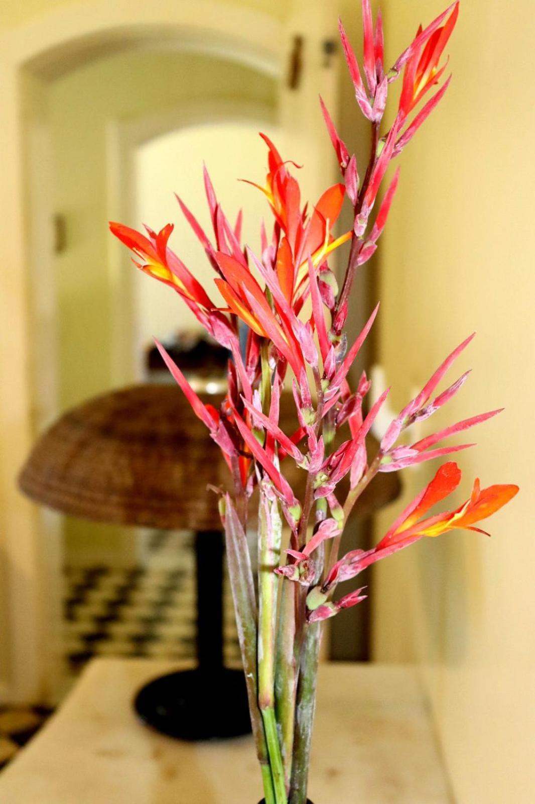 Pousada Almaviva Velha Boipeba Zimmer foto